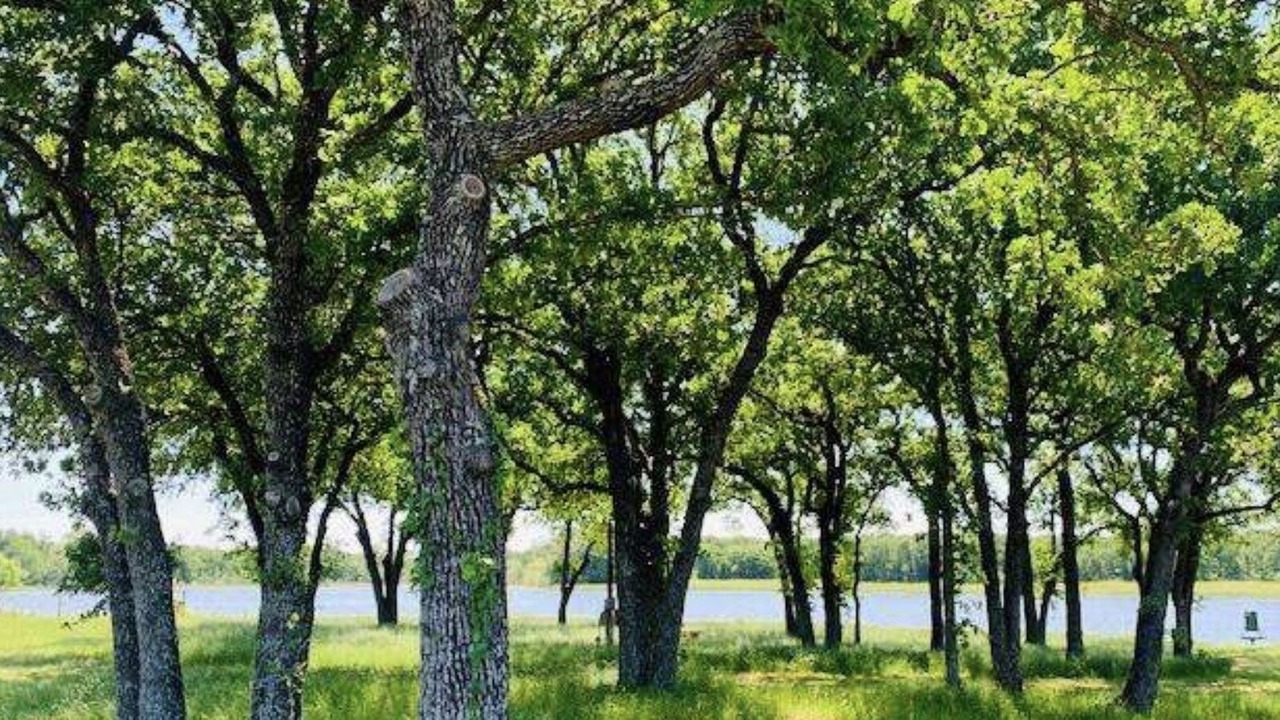 Photo of Outdoor in Riesel
