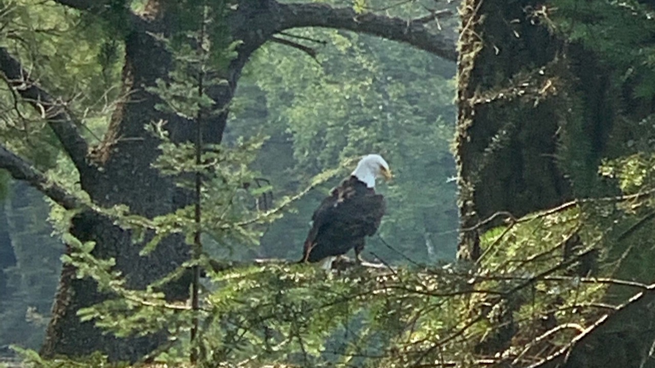 Photo of Outdoor in Three Lakes