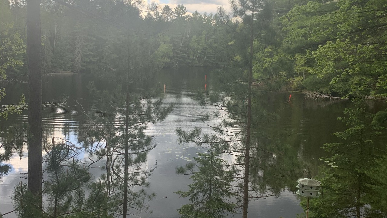 Photo of Outdoor in Three Lakes