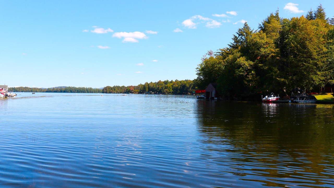 Photo of Others in Town of Webb