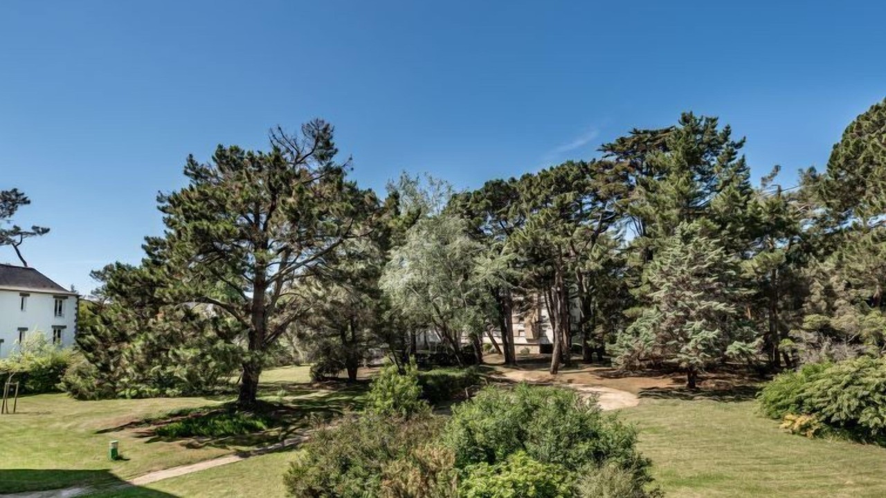 Photo of Others in Carnac