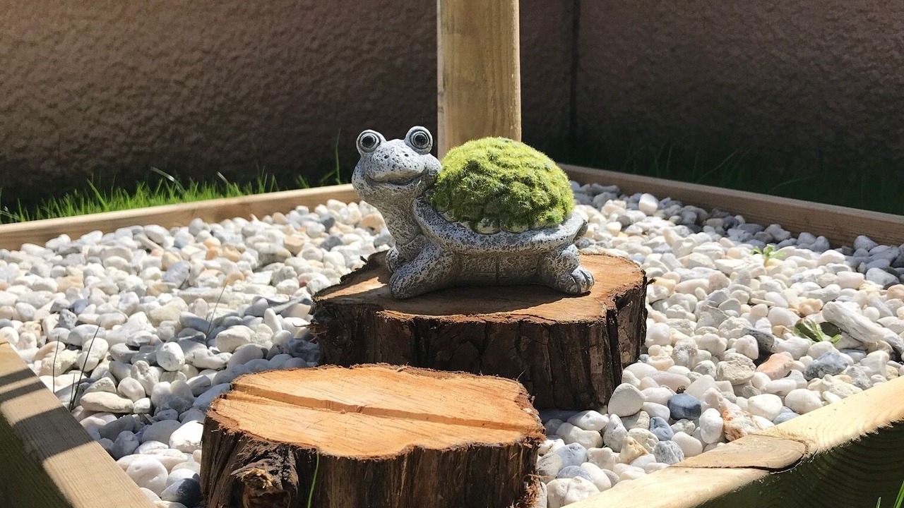 Photo of Outdoor in Saint-Medard-en-Jalles