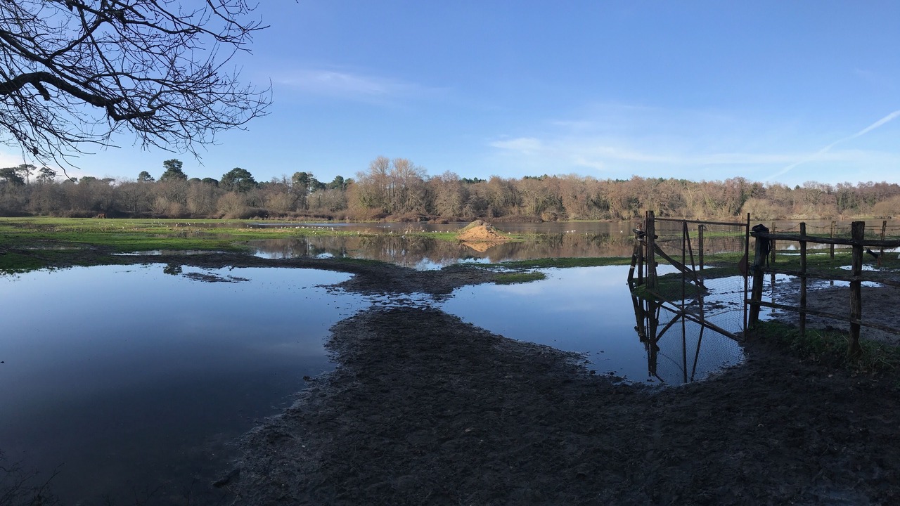 Photo of Outdoor in Saint-Medard-en-Jalles