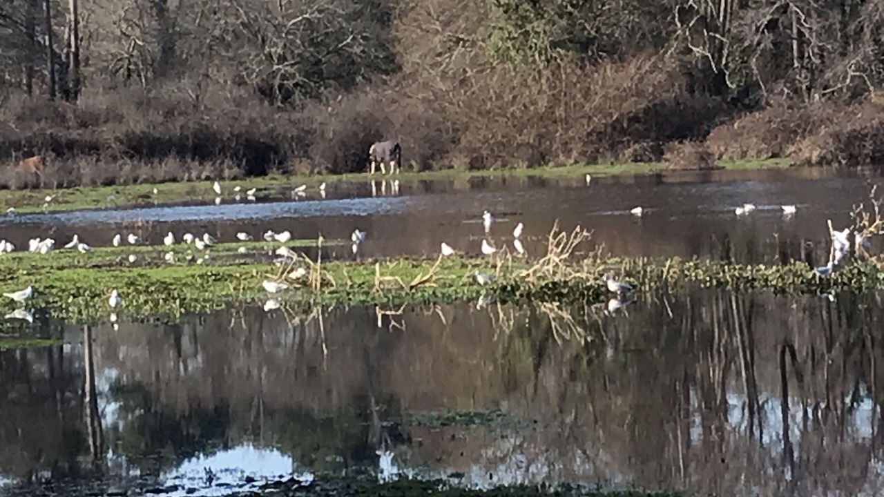 Photo of Outdoor in Saint-Medard-en-Jalles