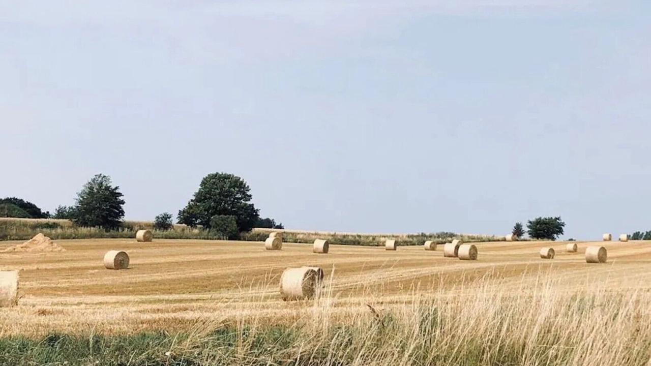 Photo of Others in Hornbaek