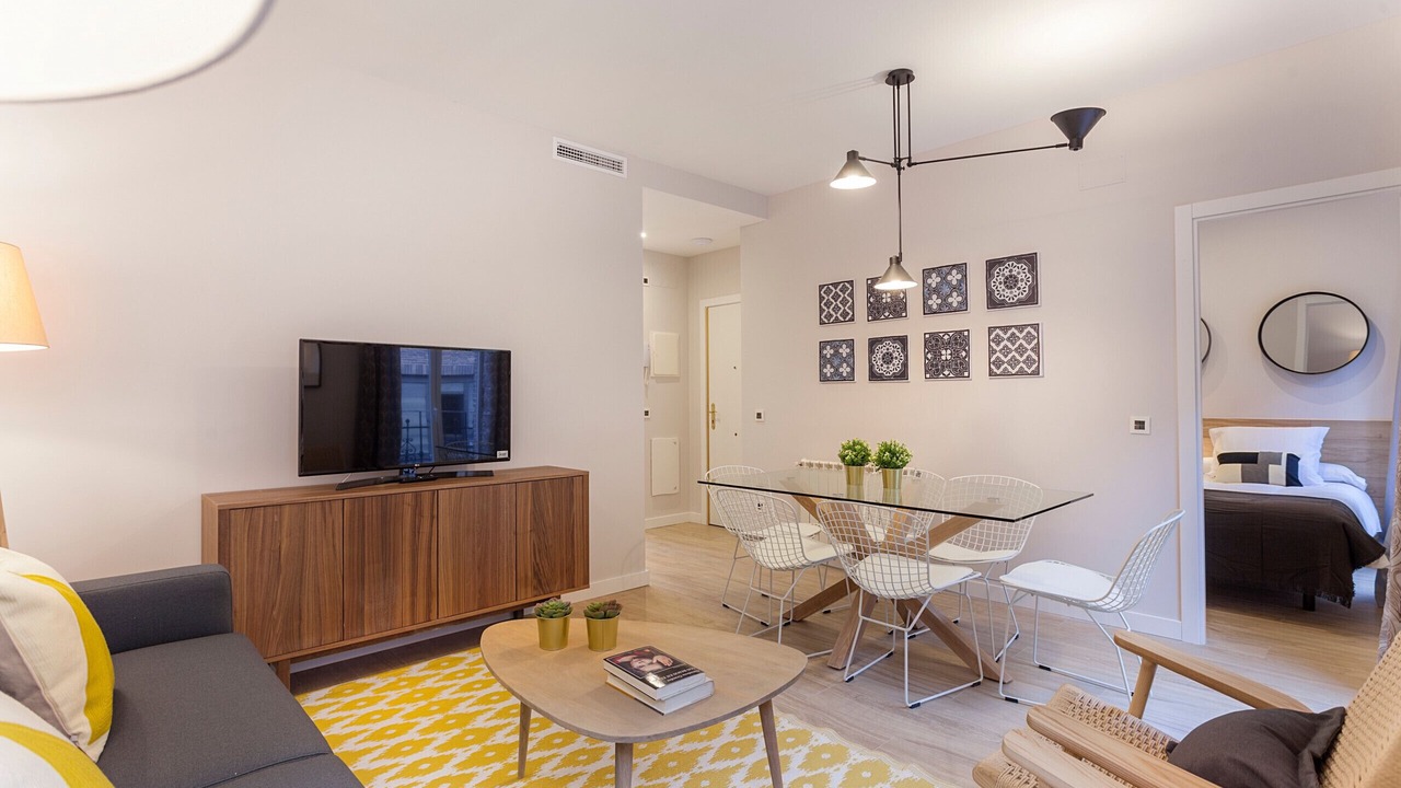 Photo of Livingroom in Guindalera