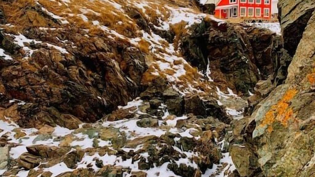 Photo of Others in Twillingate