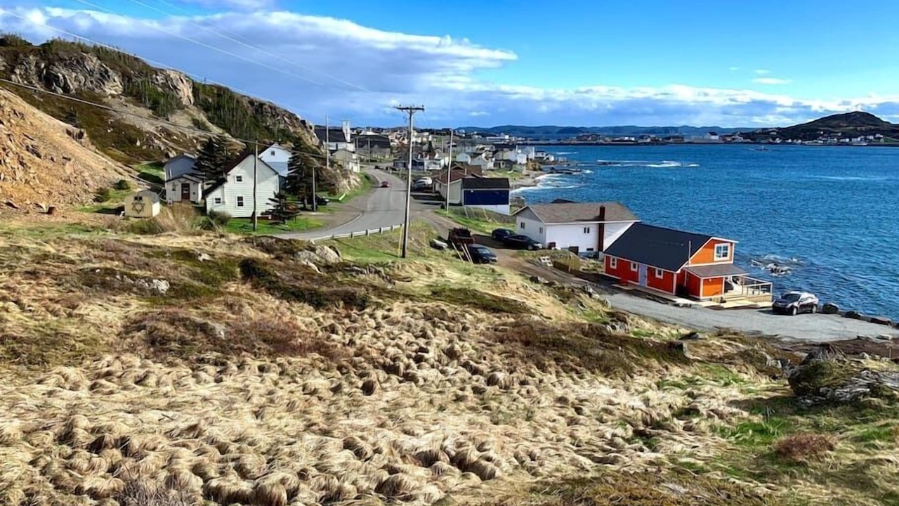 Photo of Others in Twillingate