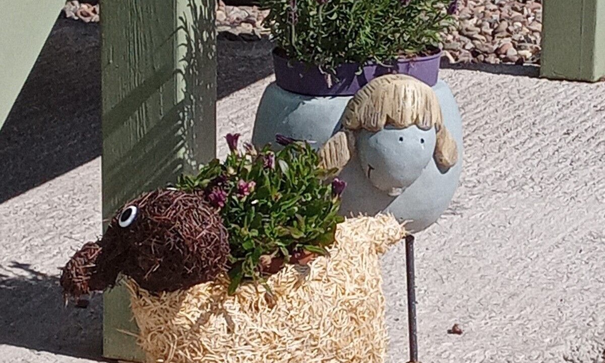 Photo of Bedroom in Forfar