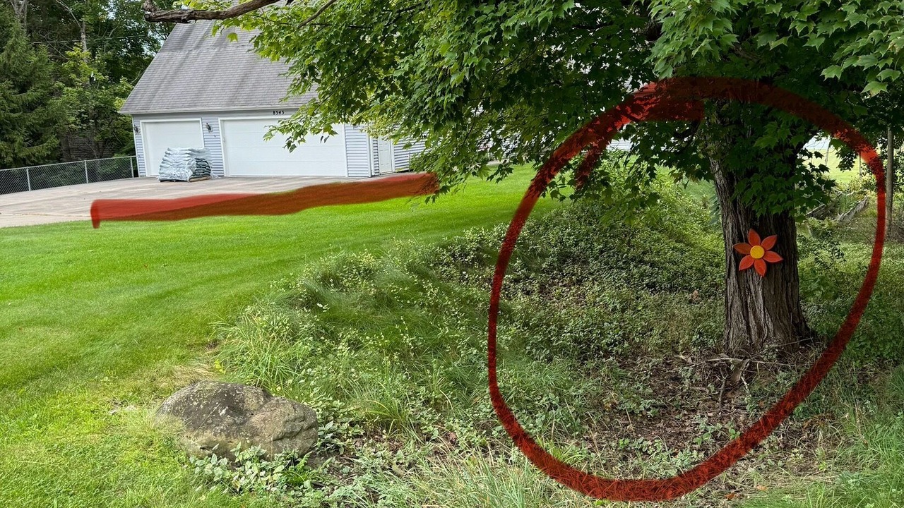 Photo of Outdoor in Bellaire