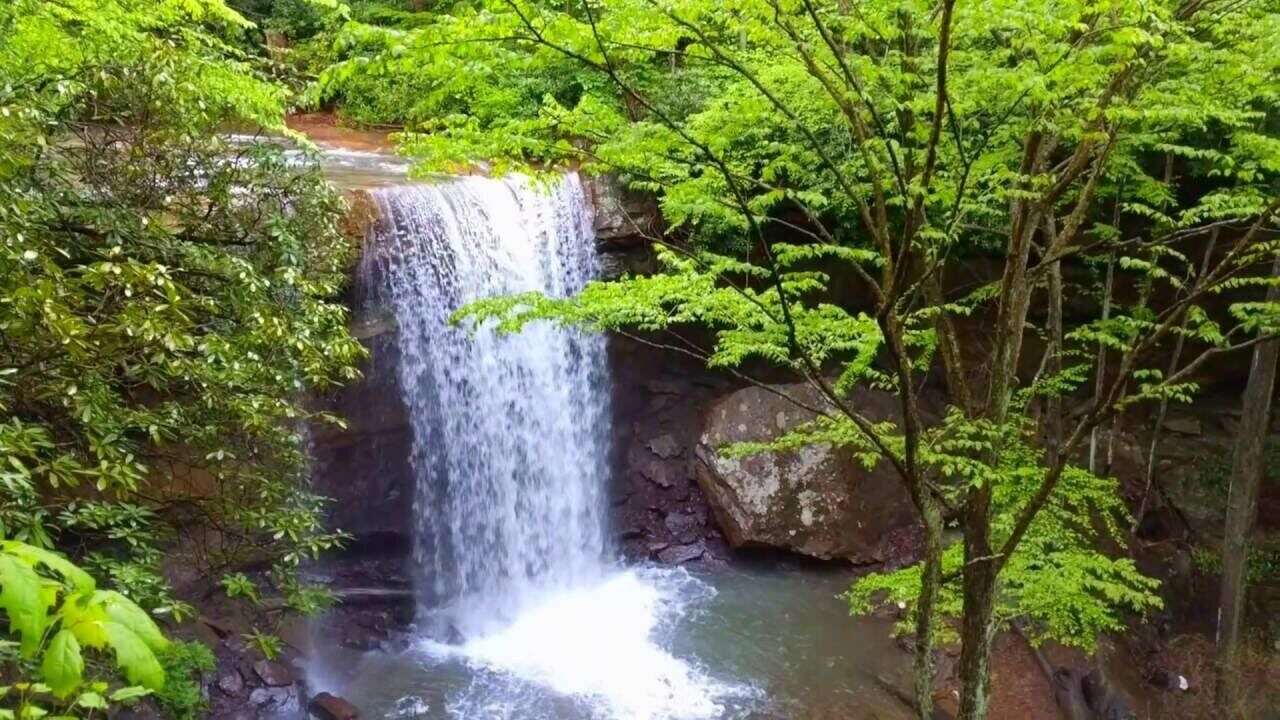 Photo of Others in Ohiopyle