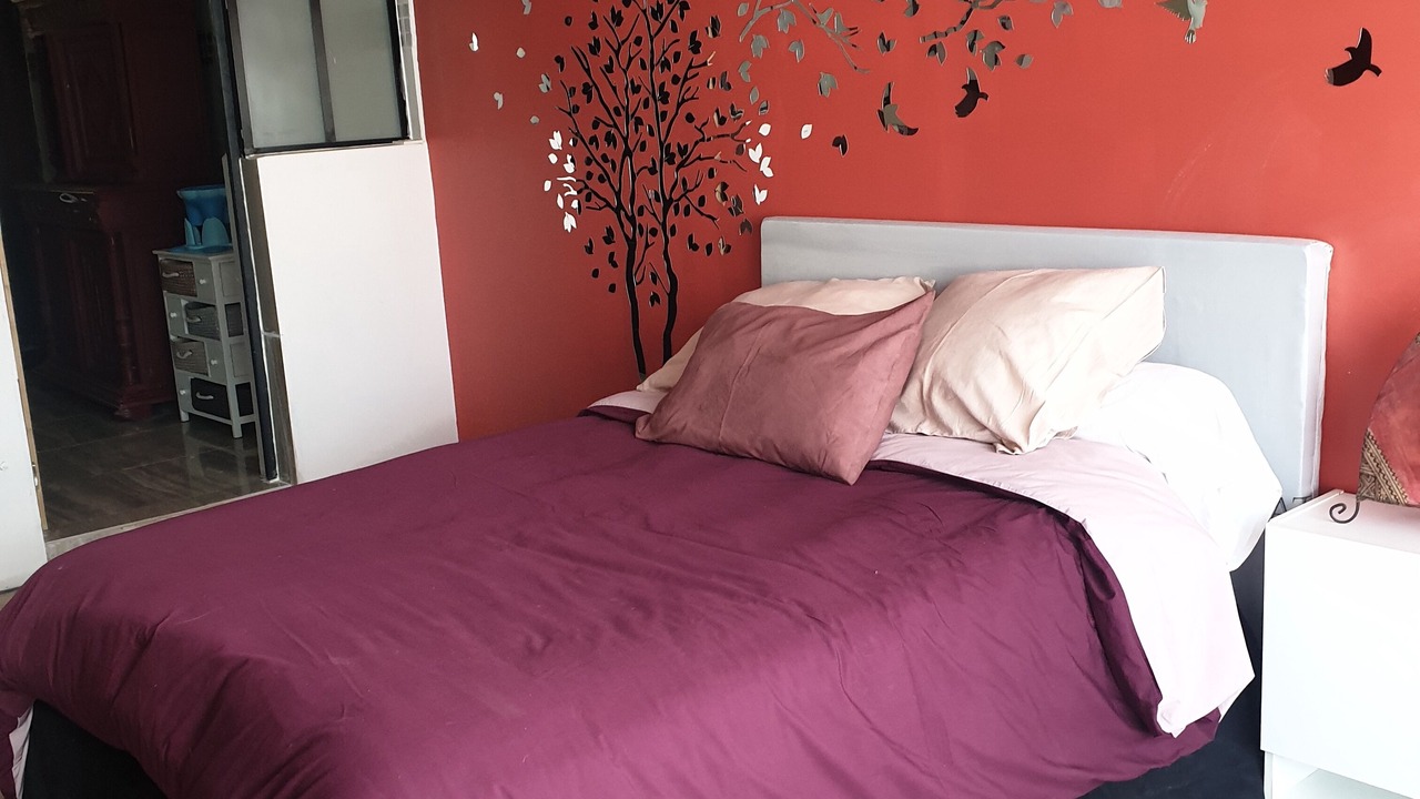 Photo of Bedroom in Villeparisis