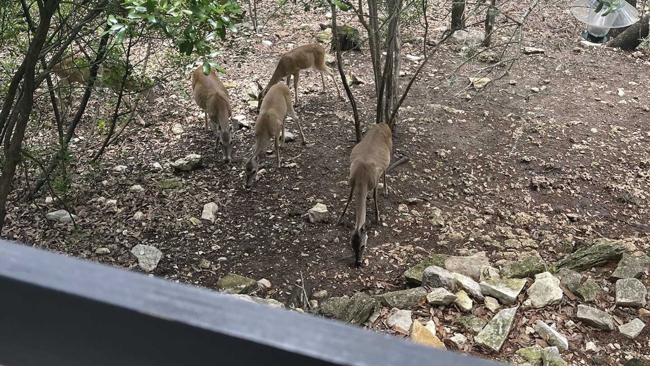 Photo of Others in Lakehills