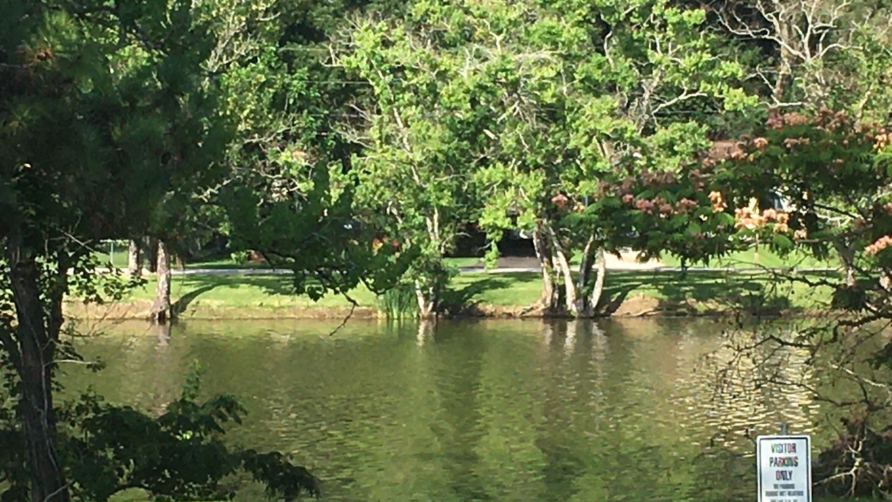 Photo of Outdoor in Montgomery