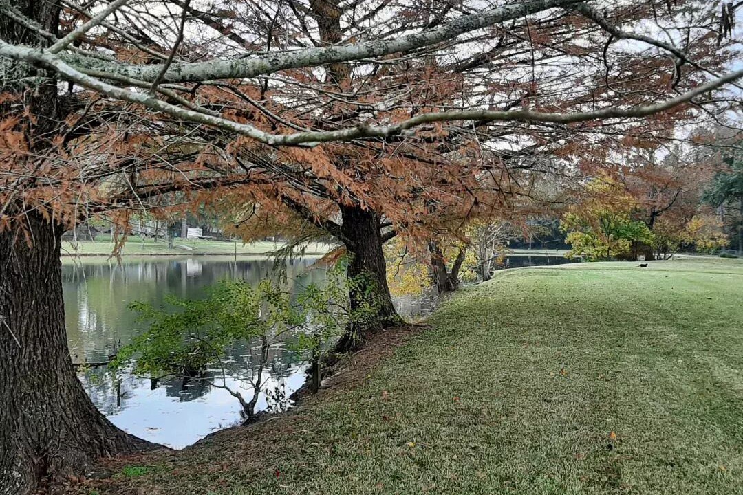 Photo of Outdoor in Montgomery