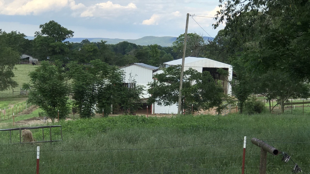 Photo of Outdoor in Centerville