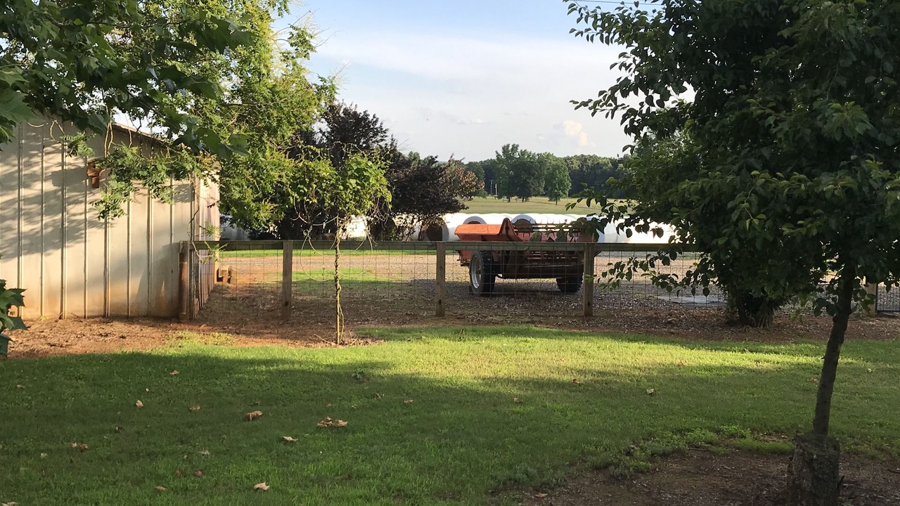 Photo of Outdoor in Centerville