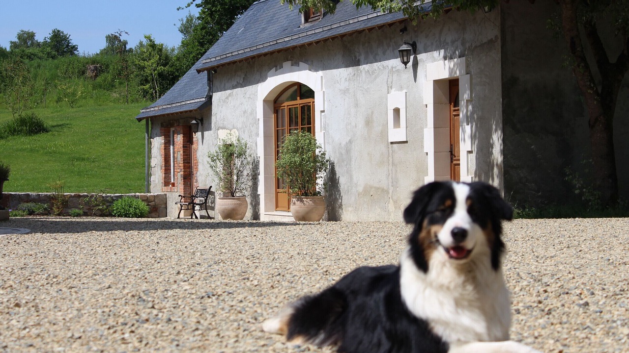 Photo of Outdoor in Cerans-Foulletourte