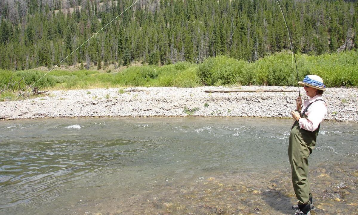 Photo of Others in Moran