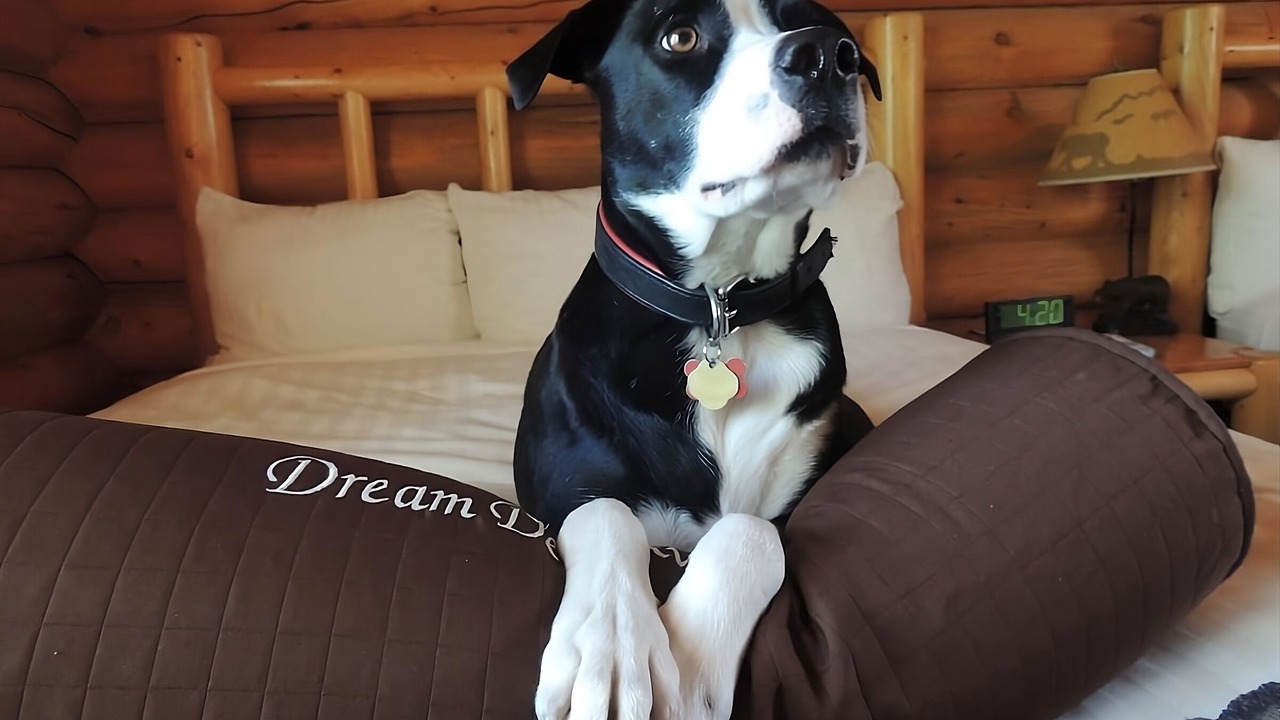 Photo of Others in Moran