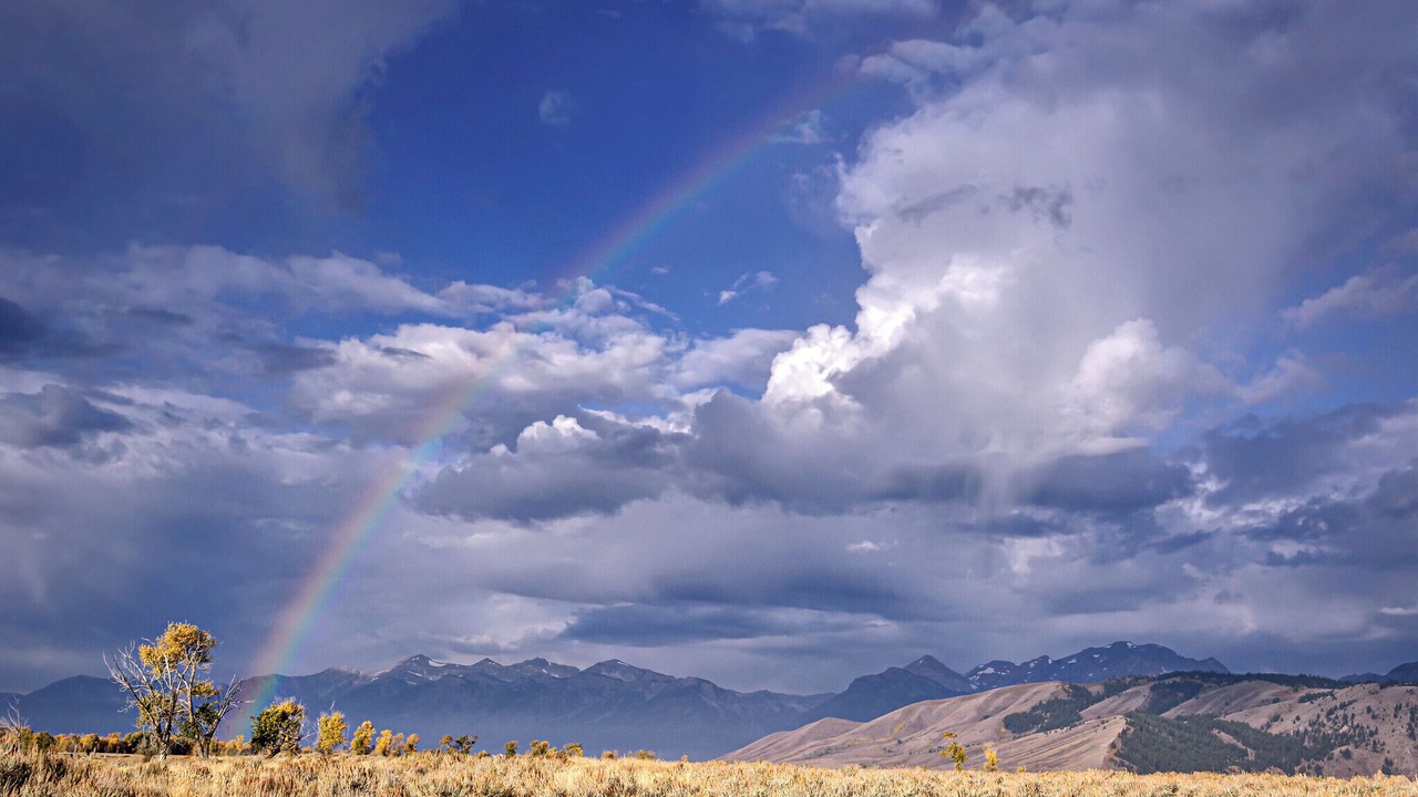 Photo of Others in Moran