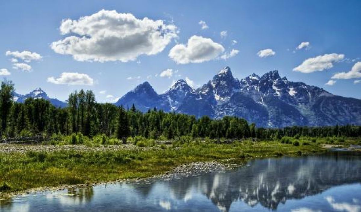 Photo of Others in Moran