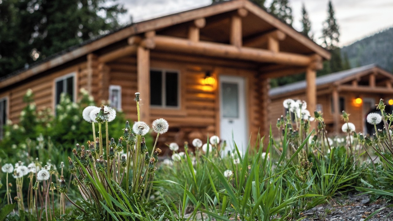 Photo of Others in Moran