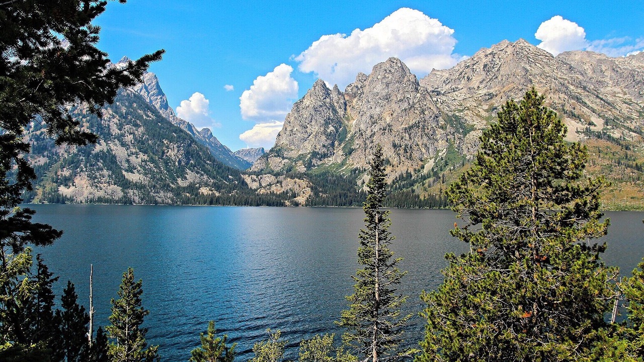 Photo of Others in Moran