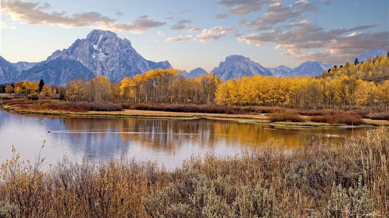 Photo of Others in Moran