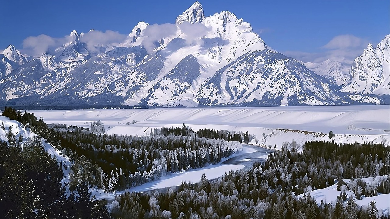 Photo of Others in Moran