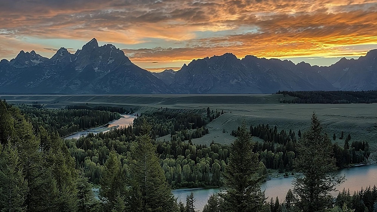 Photo of Others in Moran