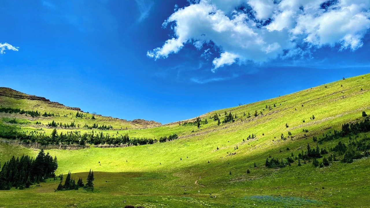 Photo of Others in Moran