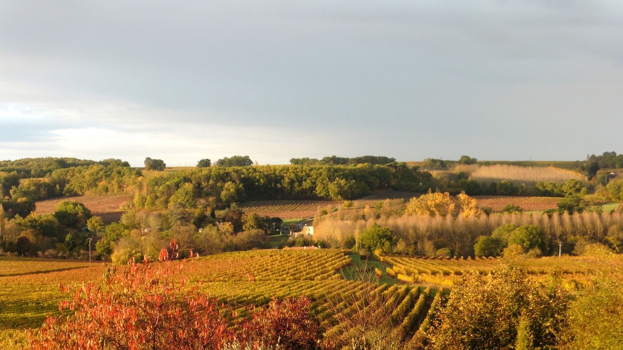 Photo of Outdoor in Saint-Andre-et-Appelles