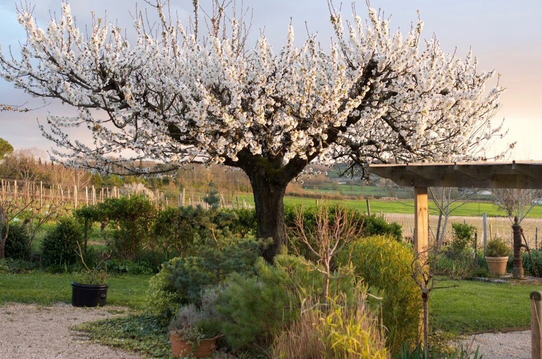 Photo of Outdoor in Saint-Andre-et-Appelles