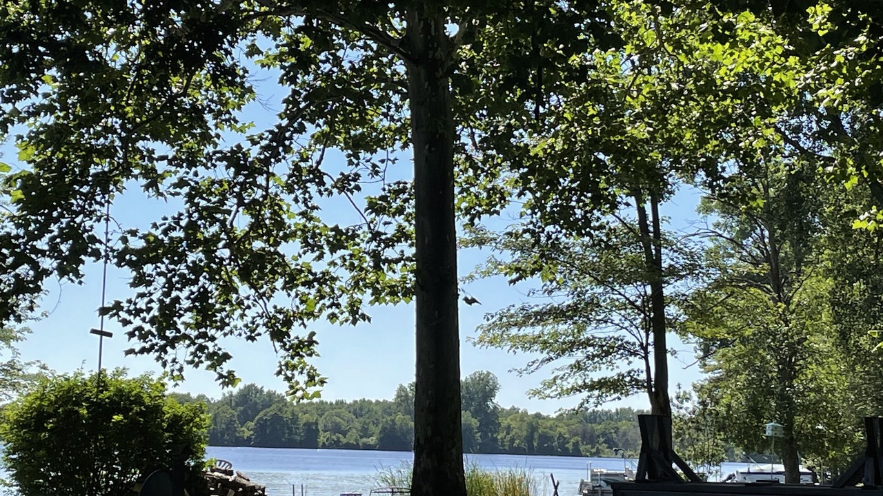 Photo of Outdoor in Helmer