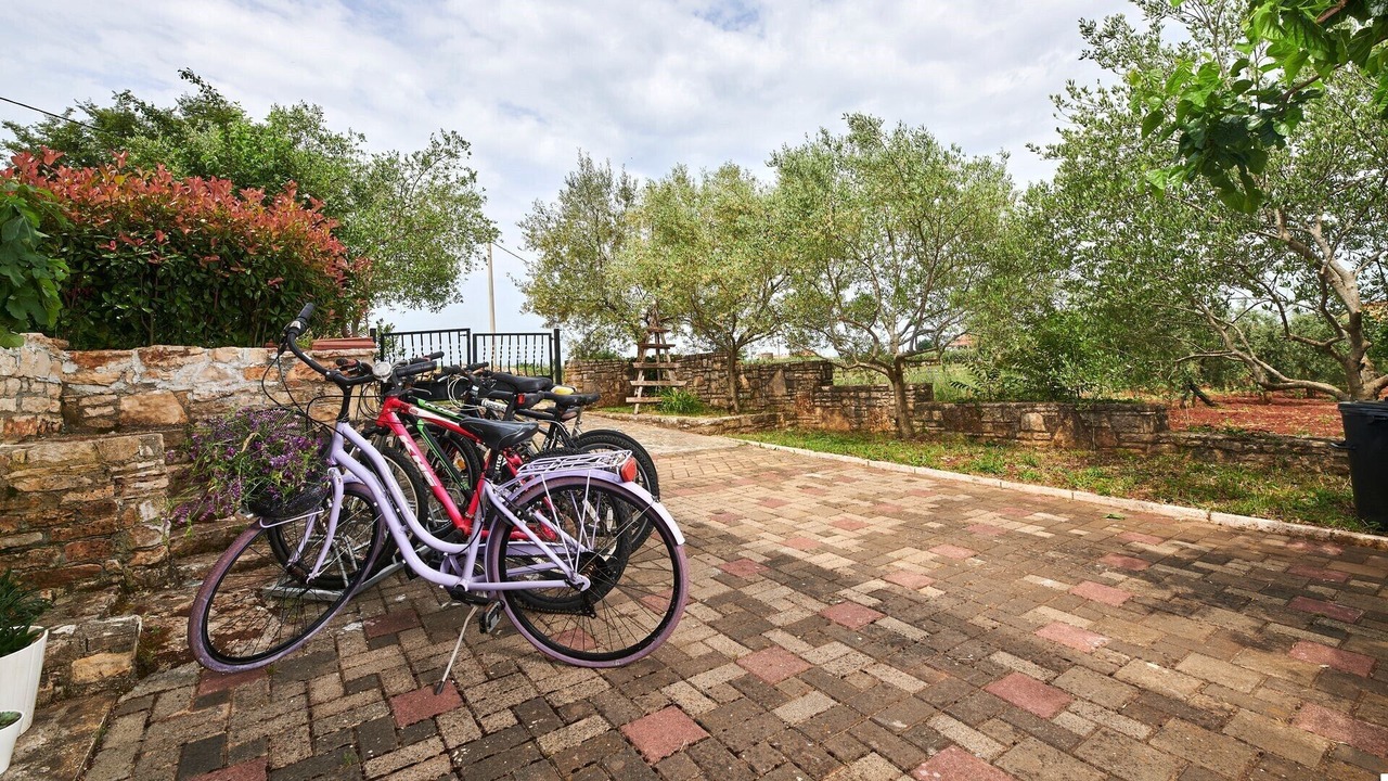 Photo of Outdoor in Novigrad