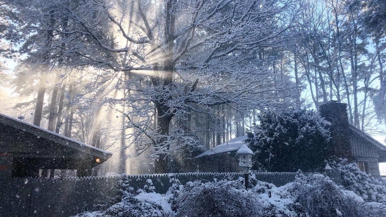 Photo of Outdoor in Rustburg