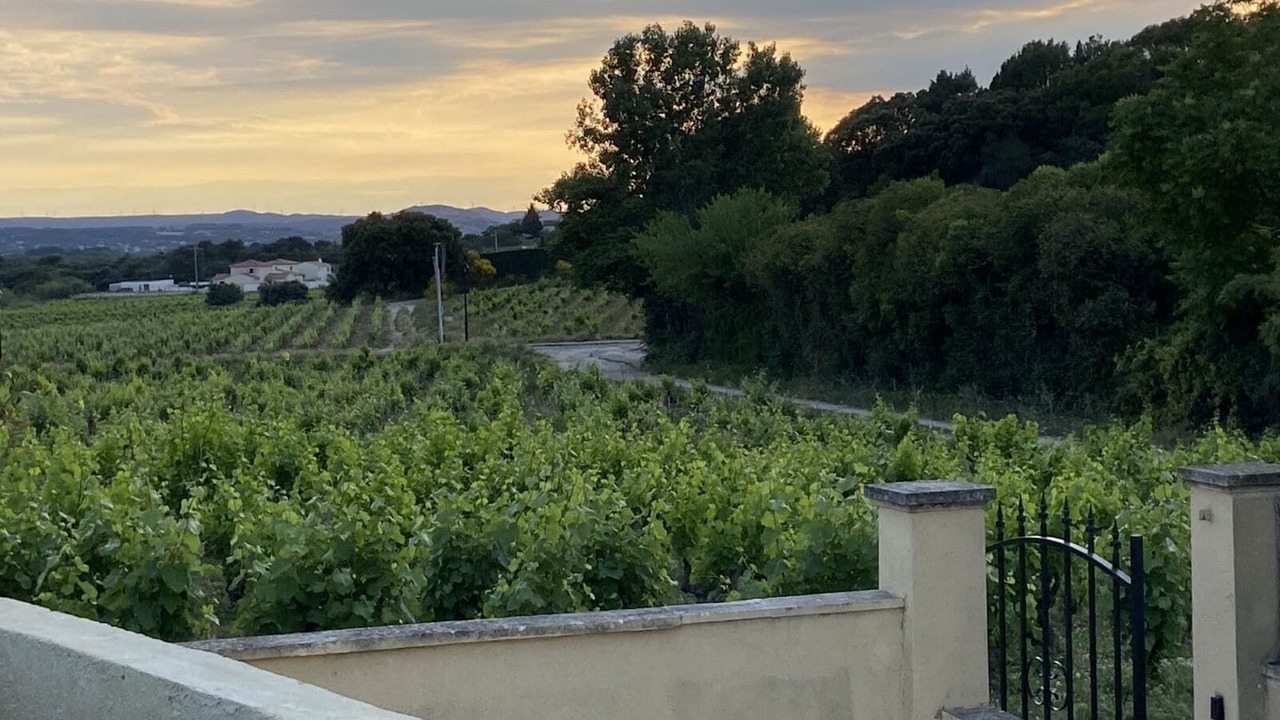 Photo of Outdoor in Chateauneuf-du-Pape