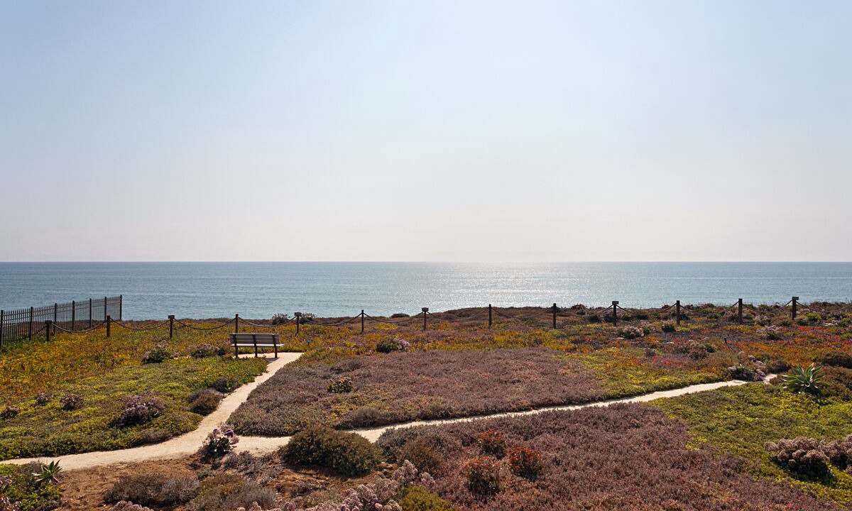 Photo of Others in Solana Beach