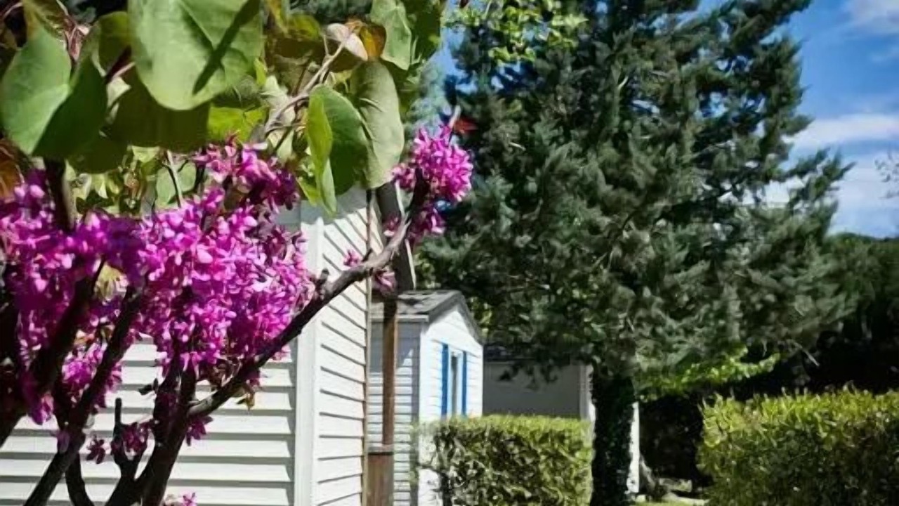 Photo of Outdoor in Saint-Jean-Pla-de-Corts
