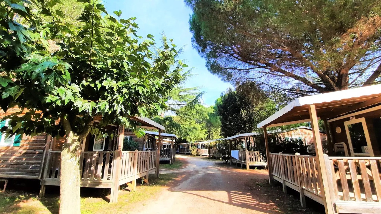 Photo of Patio Balcony in Saint-Jean-Pla-de-Corts