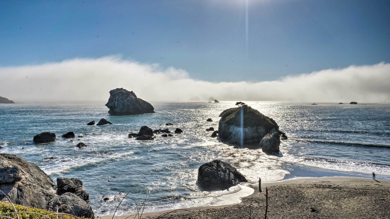 Photo of Others in Crescent City North