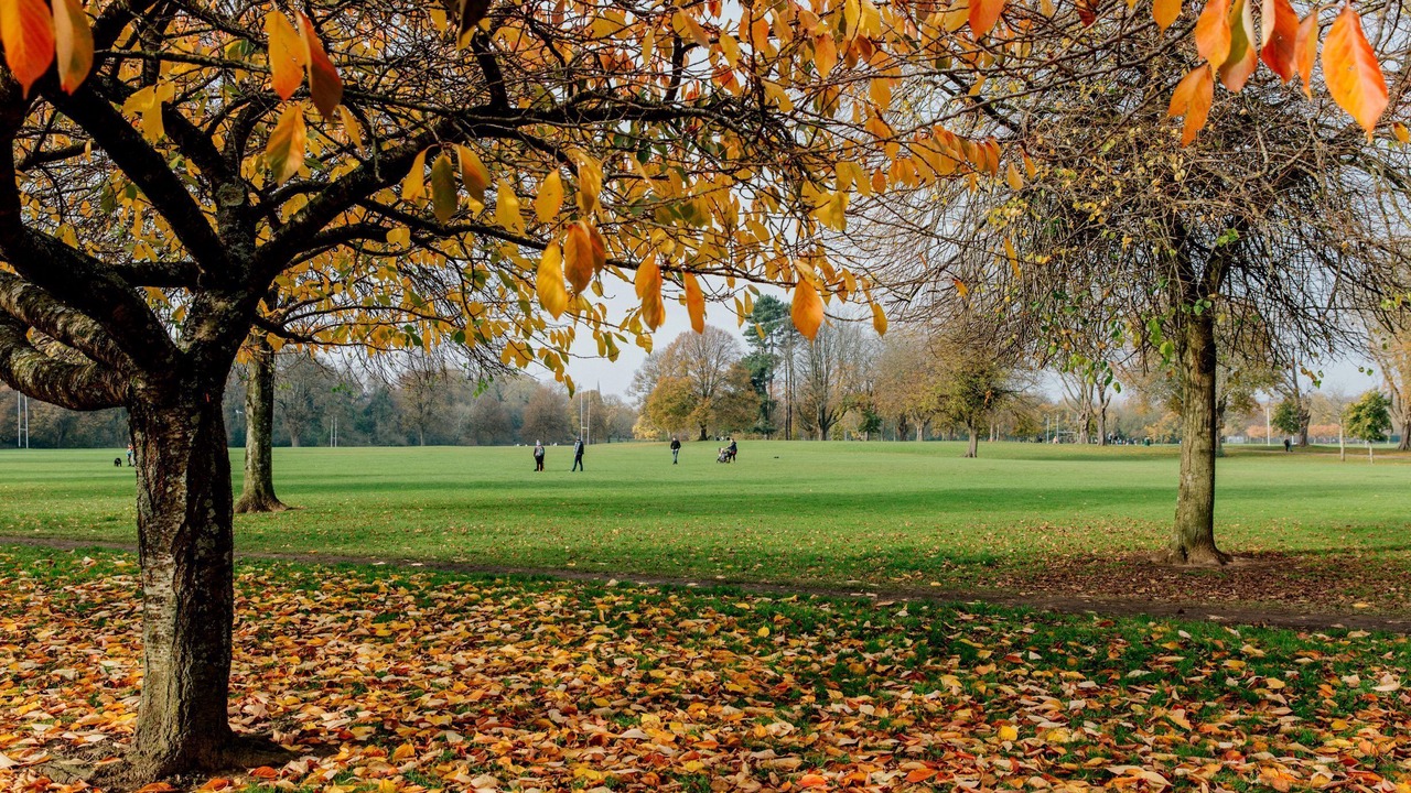 Photo of Others in Pontcanna