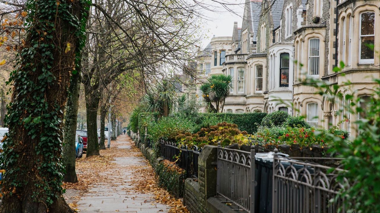 Photo of Outdoor in Pontcanna