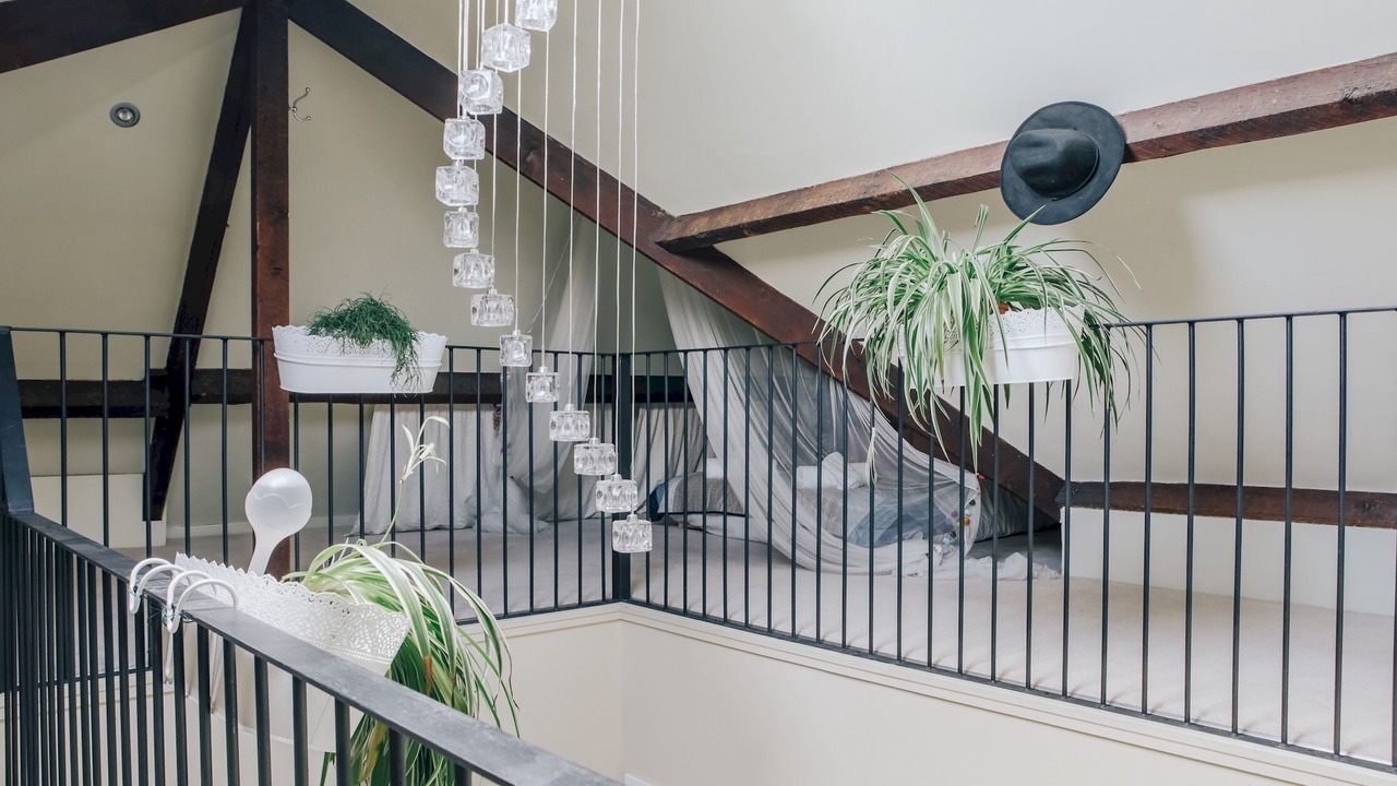 Photo of Others in Pontcanna