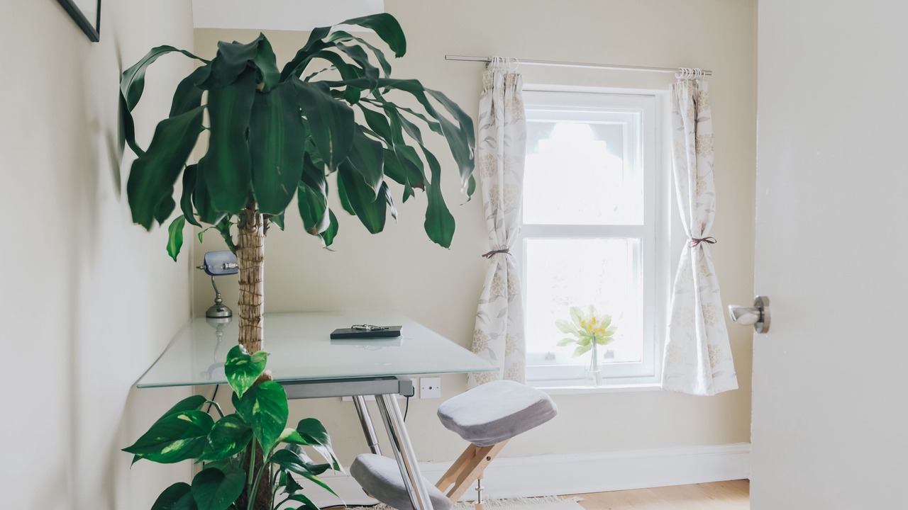 Photo of Others in Pontcanna