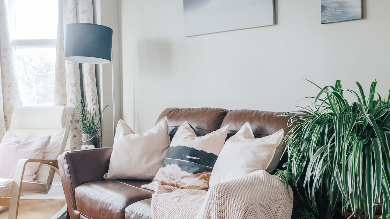 Photo of Livingroom in Pontcanna