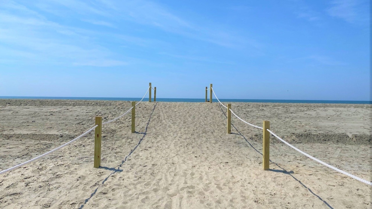 Photo of Others in Long Beach