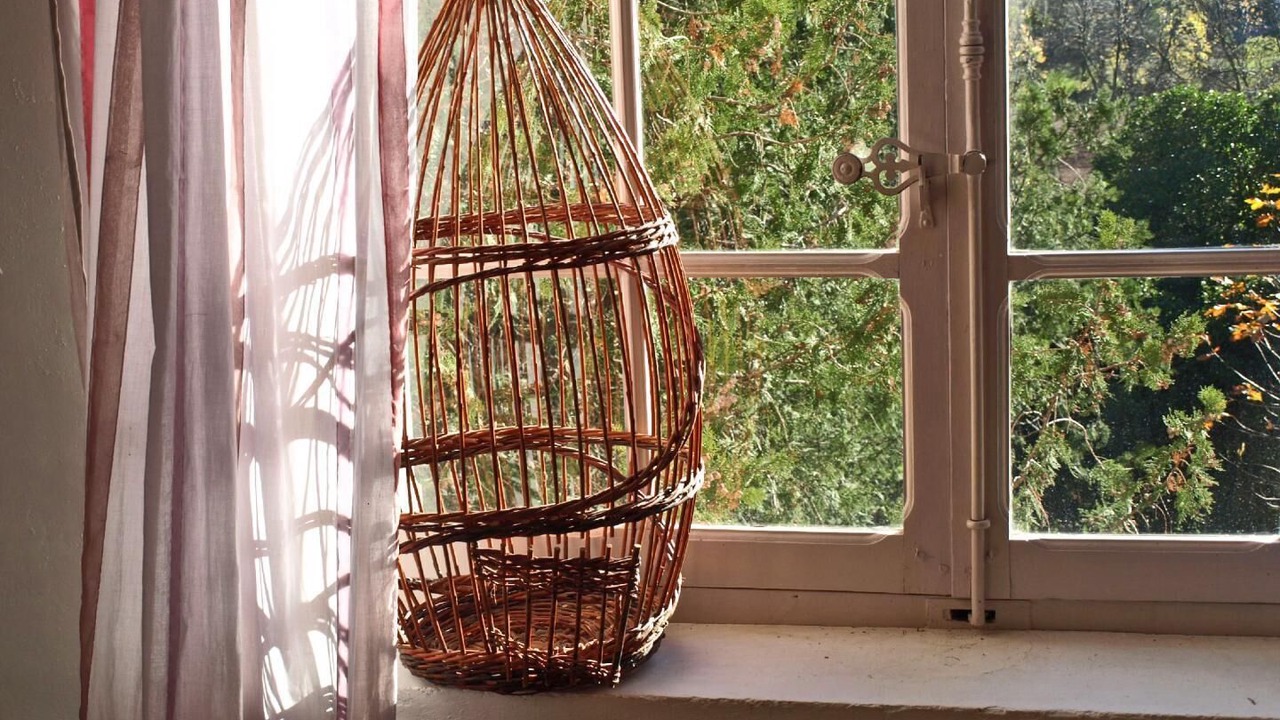 Photo of Others in Fox-Amphoux