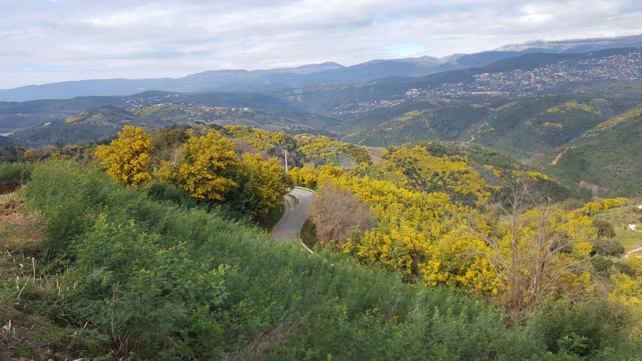 Photo of Outdoor in Tanneron